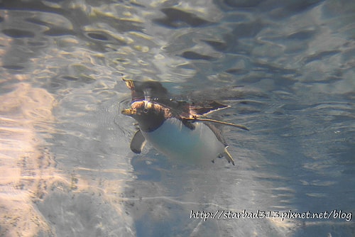 20251013-noj12 20251013-noj12