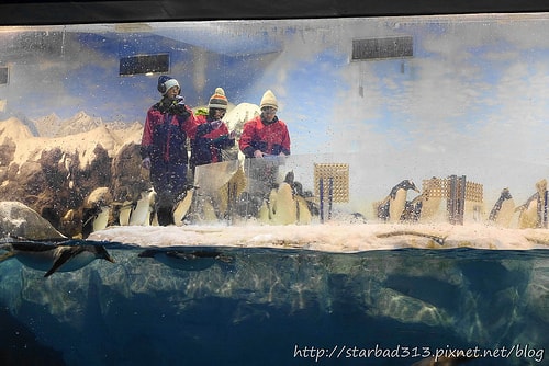 20251013-olsza 20251013-olsza