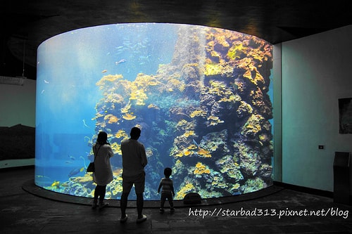 20251013-p662r 20251013-p662r