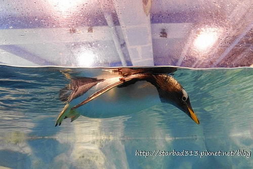 20251013-pp42s 20251013-pp42s