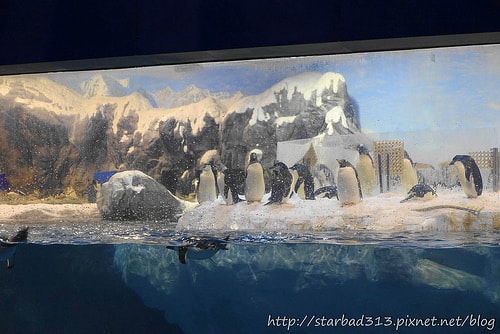 20251013-q6ogw 20251013-q6ogw