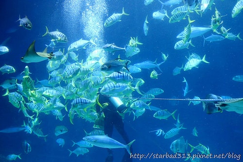 20251013-q7huf 20251013-q7huf