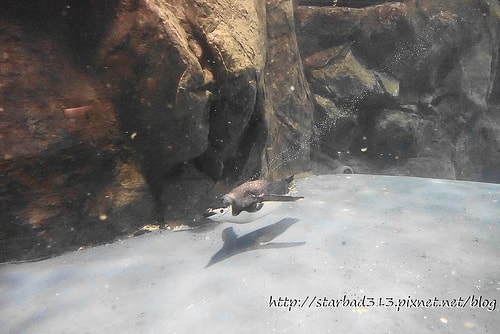 20251013-qfxey 20251013-qfxey