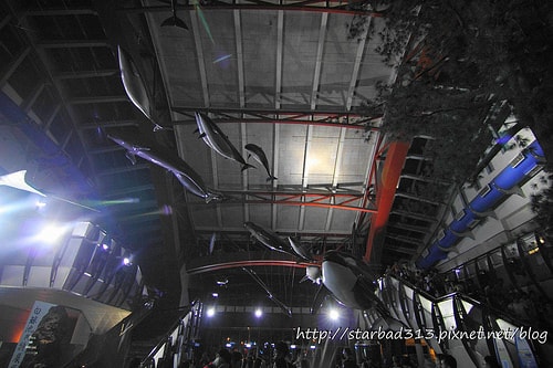 20251013-qgace 20251013-qgace