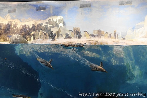 20251013-qm47i 20251013-qm47i