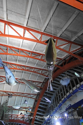 20251013-r9pxc 20251013-r9pxc