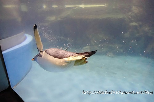 20251013-rihvp 20251013-rihvp