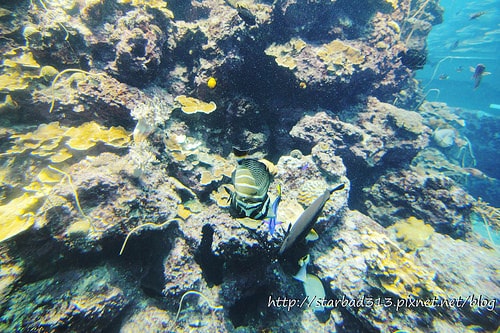 20251013-rohvr 20251013-rohvr