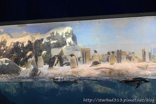 20251013-s1b83 20251013-s1b83