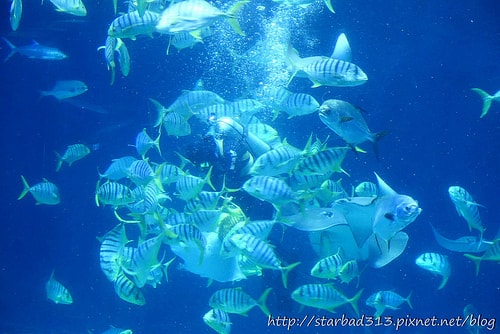 20251013-smrdq 20251013-smrdq