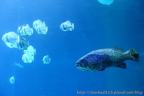 20251013-sx185 20251013-sx185