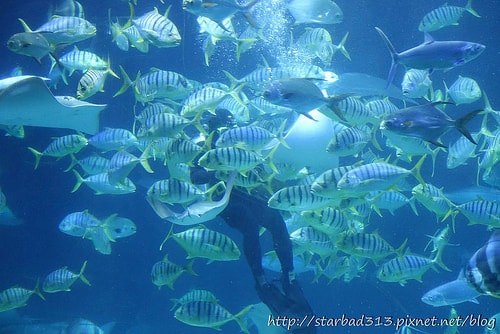 20251013-t2om5 20251013-t2om5