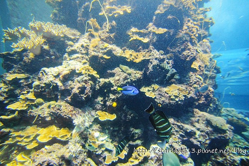 20251013-tgz91 20251013-tgz91