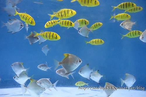 20251013-u6mfl 20251013-u6mfl