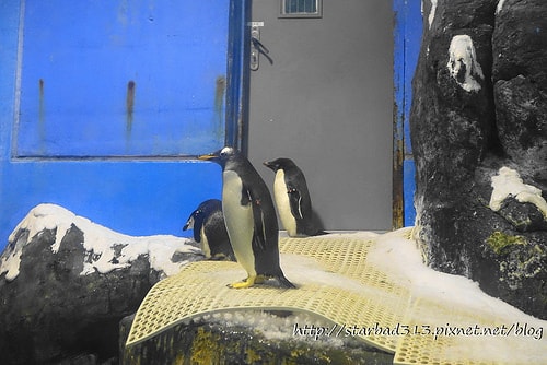 20251013-ubw1m 20251013-ubw1m