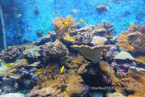 20251013-v0rsr 20251013-v0rsr