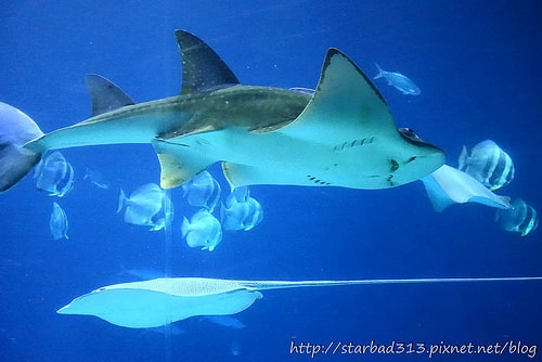 20251013-vtafx 20251013-vtafx