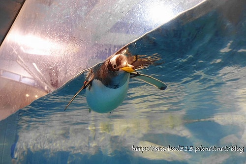 20251013-w1cwl 20251013-w1cwl