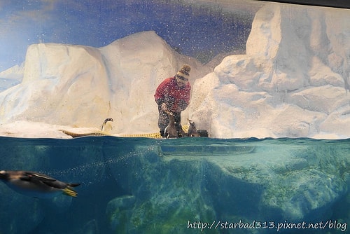 20251013-wya7h 20251013-wya7h