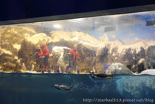 20251013-wz91w 20251013-wz91w