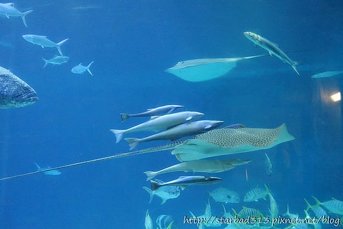 20251013-x7vst 20251013-x7vst