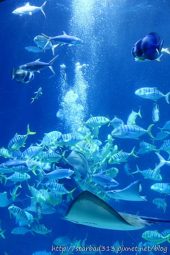 20251013-y3377 20251013-y3377