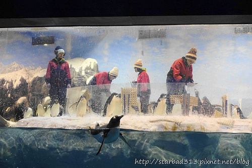 20251013-yie6s 20251013-yie6s