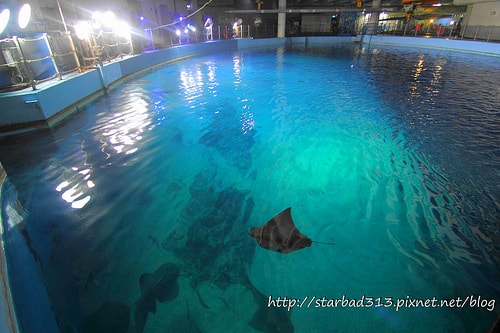 20251013-yuywk 20251013-yuywk