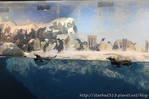 20251013-z6vv4 20251013-z6vv4