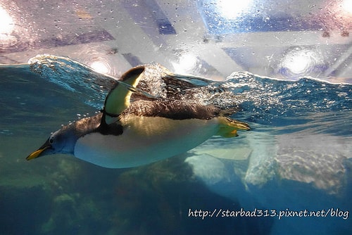 20251013-zvxxe 20251013-zvxxe