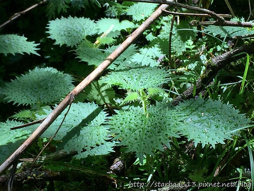 20251013-f5ad4 20251013-f5ad4