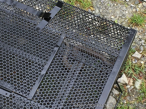 20251013-jodeo 20251013-jodeo