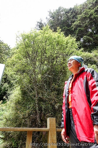 20251013-juga0 20251013-juga0