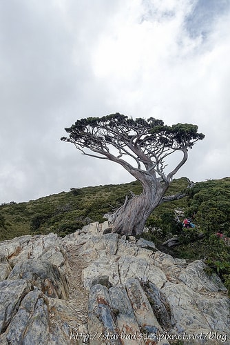 20251013-lyjy3 20251013-lyjy3