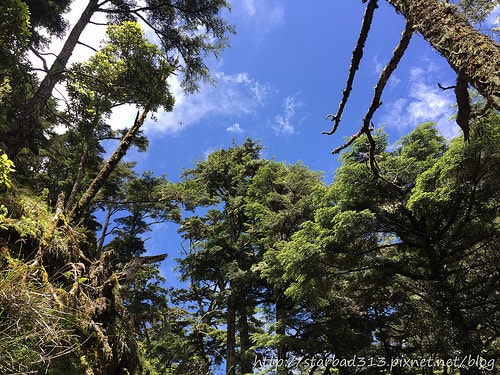 20251013-sm00x 20251013-sm00x