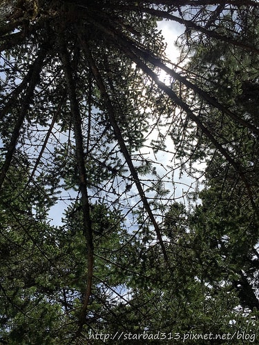 20251013-tv4he 20251013-tv4he