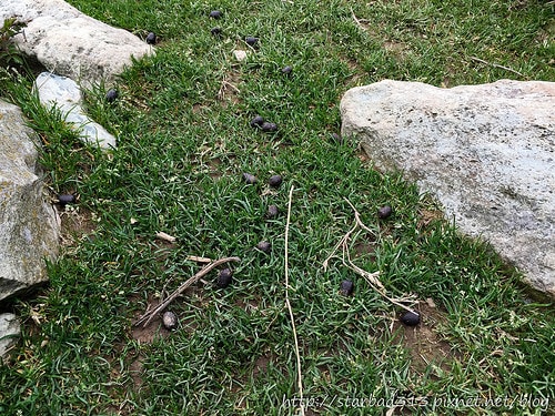 20251013-v4ys2 20251013-v4ys2