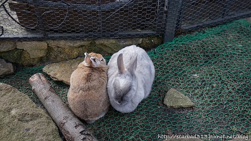 20251013-hp2x4 20251013-hp2x4