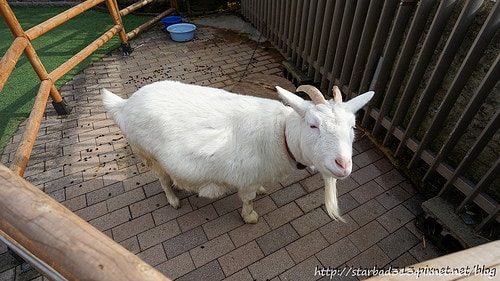 20251013-nrbn6 20251013-nrbn6