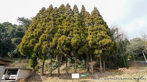 20251013-tkjzb 20251013-tkjzb