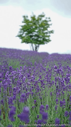 20251013-1zboe 20251013-1zboe