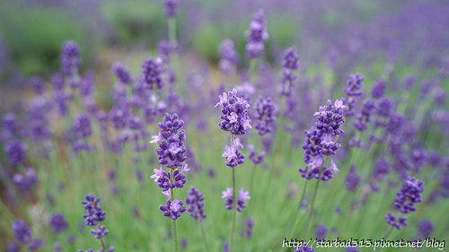 20251013-34e70 20251013-34e70