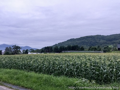 20251013-4v6s8 20251013-4v6s8