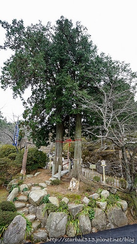 20251013-4vf34 20251013-4vf34