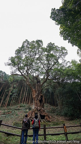 20251013-5wzup 20251013-5wzup