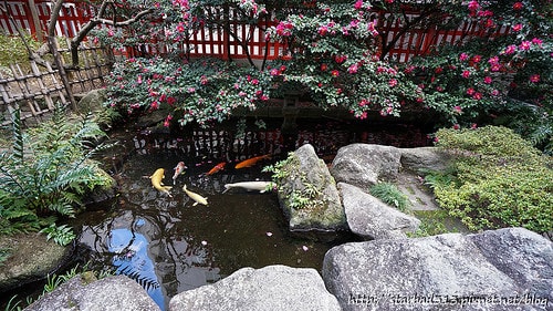 20251013-6rj39 20251013-6rj39