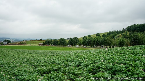 20251013-745b0 20251013-745b0