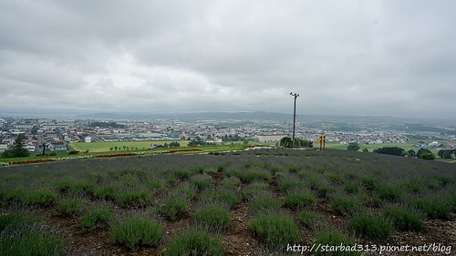 20251013-99see 20251013-99see