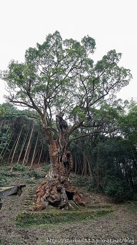 20251013-9nktc 20251013-9nktc