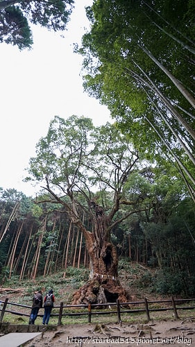 20251013-airgw 20251013-airgw